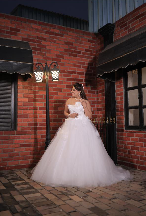 Elegant Net Gowns for women
