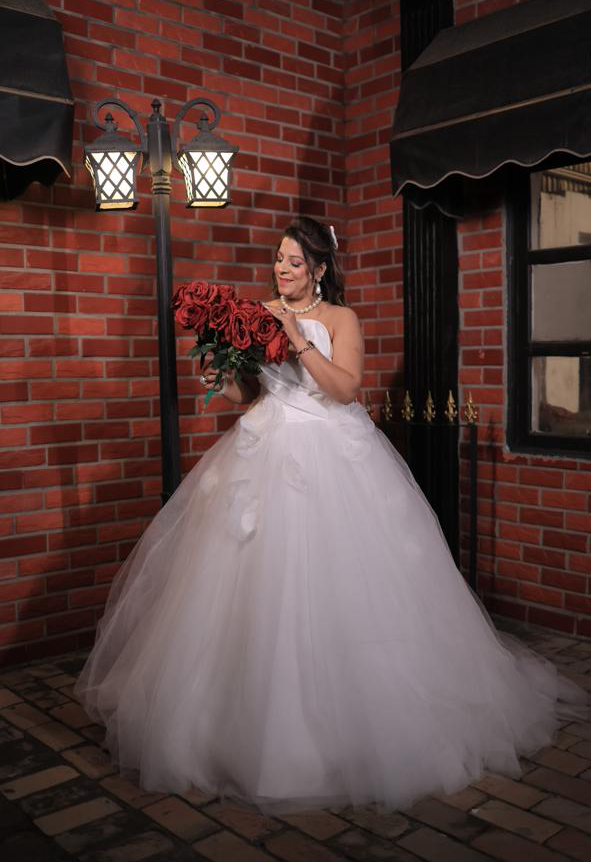 Elegant Net Gowns for women